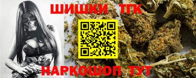 тгк Можга