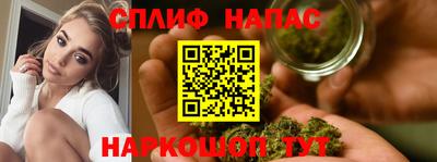 Альфа ПВП Моздок