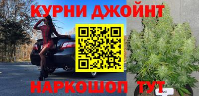 тгк Можга