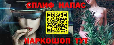 Альфа ПВП Моздок