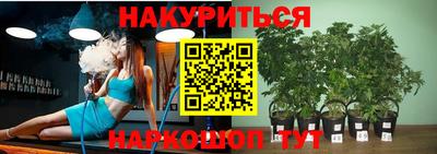 Альфа ПВП Моздок