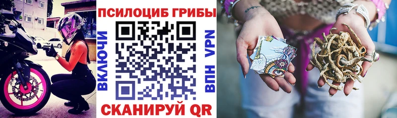 Псилоцибиновые грибы прущие грибы  Тихорецк 