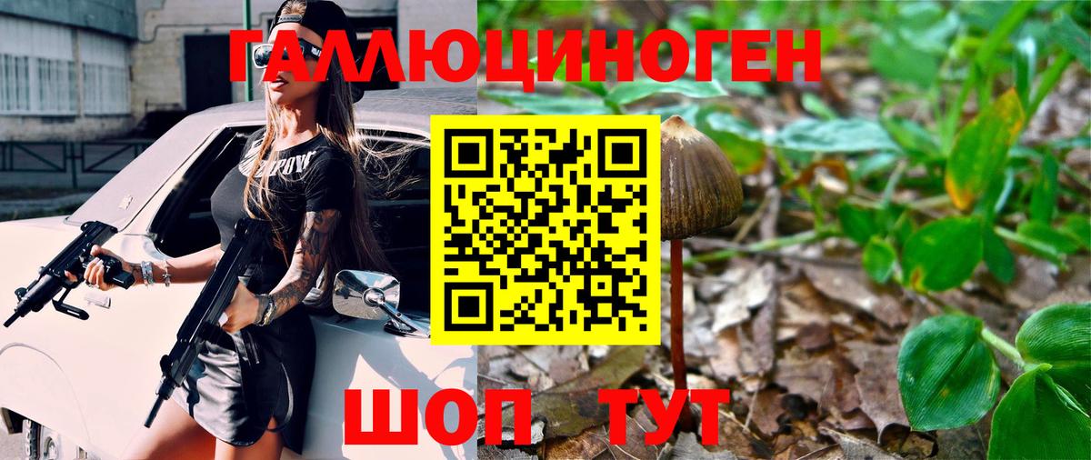 Тихорецк  Псилоцибиновые грибы Cubensis  Псилоцибиновые грибы MAGIC MUSHROOMS  Вход с VPN 