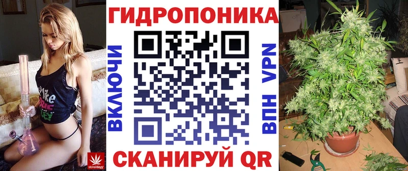 блэк спрут ССЫЛКА  где продают наркотики  Тихорецк  Канабис гибрид 